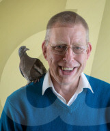 FEATURE - Hat einen Vogel: Ruheständler zieht verlassenes Taubenküken auf