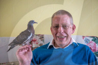 FEATURE - Hat einen Vogel: Ruheständler zieht verlassenes Taubenküken auf