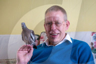 FEATURE - Hat einen Vogel: Ruheständler zieht verlassenes Taubenküken auf