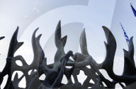 FEATURE - Pix of the Day: Bilder des Tages