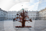 FEATURE - Pix of the Day: Bilder des Tages