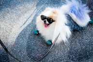 PEOPLE - RuPaul’s DragCon in New York 