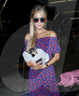 EXKLUSIV - Paris Hilton und Chris Zylka landen mit dem Chihuahua in Los Angeles