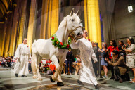 NEWS - New York: Tiere werden in St.John's and Divine gesegnet