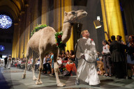 NEWS - New York: Tiere werden in St.John's and Divine gesegnet