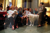 NEWS - New York: Tiere werden in St.John's and Divine gesegnet