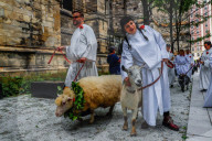 NEWS - New York: Tiere werden in St.John's and Divine gesegnet