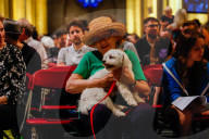 NEWS - New York: Tiere werden in St.John's and Divine gesegnet