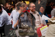 NEWS - New York: Tiere werden in St.John's and Divine gesegnet