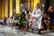NEWS - New York: Tiere werden in St.John's and Divine gesegnet