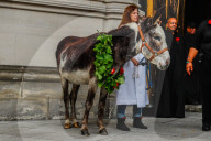 NEWS - New York: Tiere werden in St.John's and Divine gesegnet