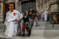 NEWS - New York: Tiere werden in St.John's and Divine gesegnet