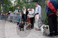 NEWS - New York: Tiere werden in St.John's and Divine gesegnet
