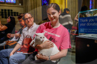 NEWS - New York: Tiere werden in St.John's and Divine gesegnet