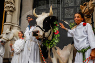 NEWS - New York: Tiere werden in St.John's and Divine gesegnet