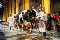 NEWS - New York: Tiere werden in St.John's and Divine gesegnet