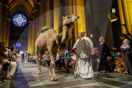 NEWS - New York: Tiere werden in St.John's and Divine gesegnet