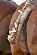 FEATURE - Agricultural Association Ploughing Match and Country Fayre in Bishopsland