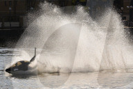 FEATURE - Wal Jet-Ski Submarine auf der Themse in London