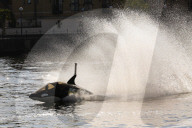 FEATURE - Wal Jet-Ski Submarine auf der Themse in London