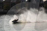 FEATURE - Wal Jet-Ski Submarine auf der Themse in London