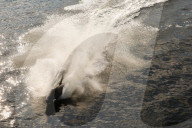 FEATURE - Wal Jet-Ski Submarine auf der Themse in London