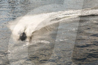 FEATURE - Wal Jet-Ski Submarine auf der Themse in London