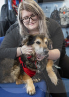 FEATURE - Russell the Dog besucht jede Woche die Kinder der Coalsnaughton Grundschule in Alloa