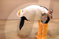 FEATURE - Pix of the Day: Bilder des Tages