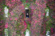 FEATURE - Pix of the Day: Bilder des Tages