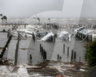 NEWS - USA: Hurrikan Michael fegt über Florida