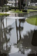 NEWS - USA: Hurrikan Michael fegt über Florida