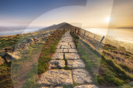 FEATURE - Pix of the Day: Bilder des Tages