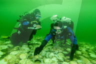 FEATURE - Pix of the Day: Bilder des Tages