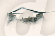 FEATURE - Pix of the Day: Bilder des Tages