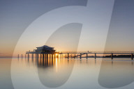 FEATURE - Pix of the Day: Bilder des Tages