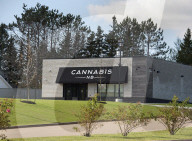 NEWS - Cannabis: Kiffen in Kanada ist nun erlaubt 
