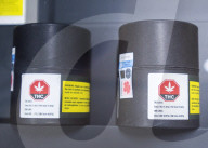 NEWS - Cannabis: Kiffen in Kanada ist nun erlaubt 