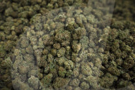 NEWS - Cannabis: Kiffen in Kanada ist nun erlaubt 