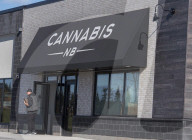 NEWS - Cannabis: Kiffen in Kanada ist nun erlaubt 