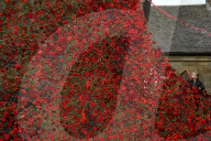FEATURE - 9000 gestrickte Mohnblüten schmücken das Pfarrhaus im schottischen Carmunnock