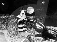FEATURE - Perlen aus dem Archiv: Daleks aus Doctor Who