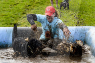 FEATURE - Das matscht so schön: Die Muddy Dog Challenge für Herrchen und Hund in Altrincham