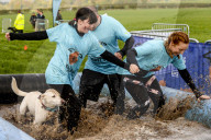 FEATURE - Das matscht so schön: Die Muddy Dog Challenge für Herrchen und Hund in Altrincham