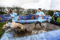 FEATURE - Das matscht so schön: Die Muddy Dog Challenge für Herrchen und Hund in Altrincham