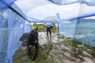 FEATURE - Das matscht so schön: Die Muddy Dog Challenge für Herrchen und Hund in Altrincham