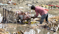 NEWS - Indien: Fluss Jamuna leidet nach Durga-Puja-Festival massiv