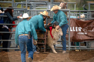FEATURE - Rodeo in Colorado