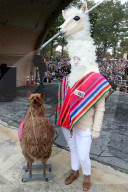 FEATURE - Halloween: Hunde Parade im Tompkins Square Park in NYC
