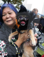 FEATURE - Halloween: Hunde Parade im Tompkins Square Park in NYC